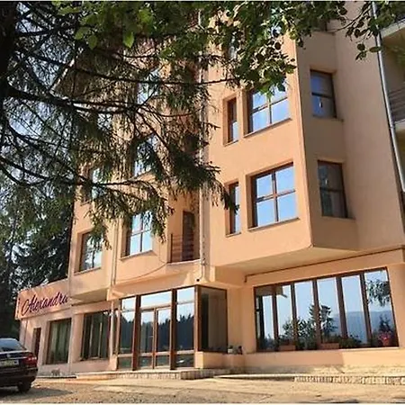 Pensiunea Alexandra Guest house
