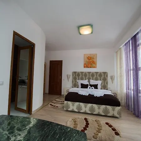 Pensiunea Alexandra 3*