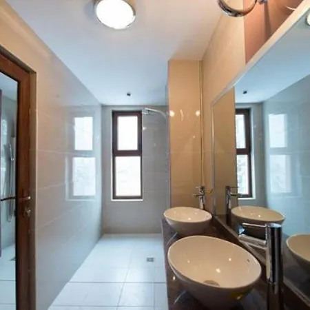 Pensiunea Alexandra Guest house