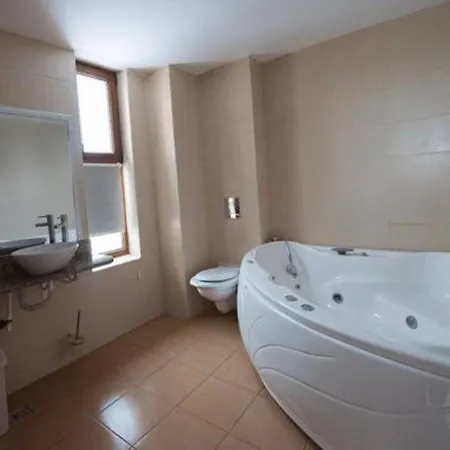 Pensiunea Alexandra 3*